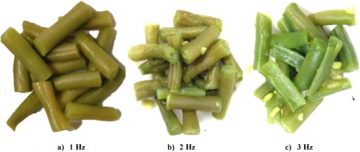 Effect of processing conditions on quality of green beans subjected to reciprocating agitation thermal processing